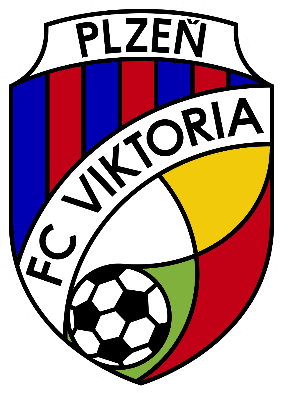 fvp icon