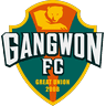 gwo icon