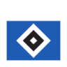 hsv icon