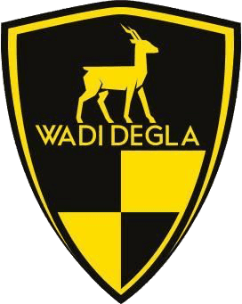 wds icon