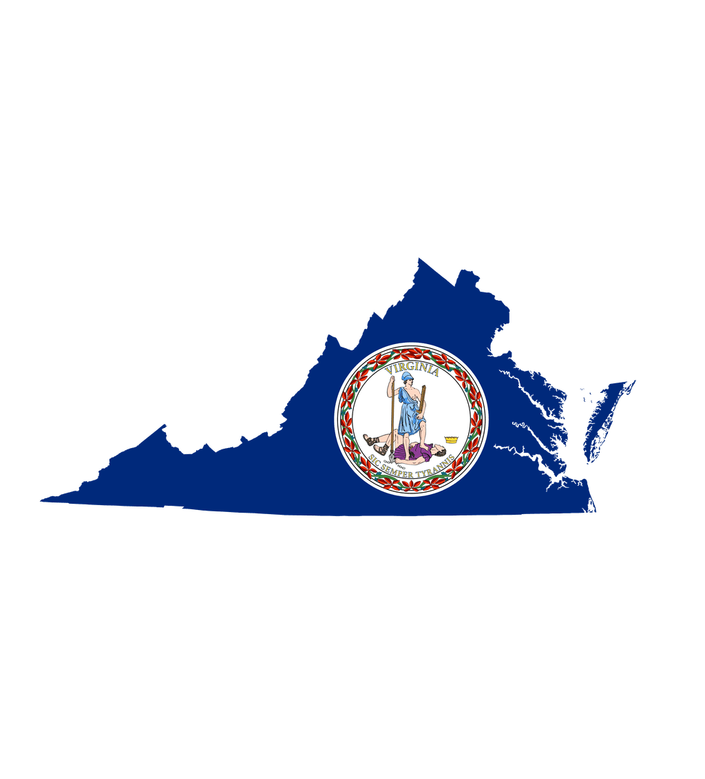 How many House seats will the Democrats win in Virginia?