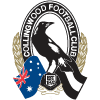 Collingwood Magpies