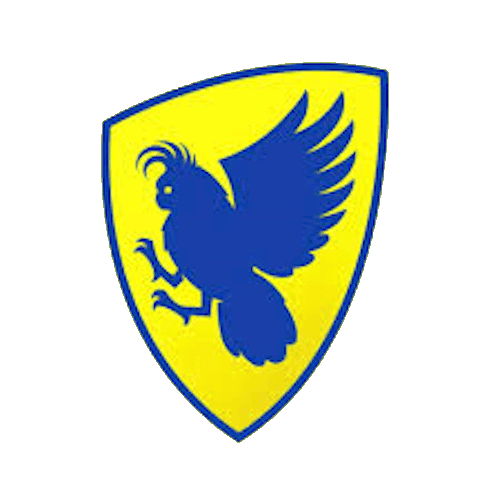 act icon