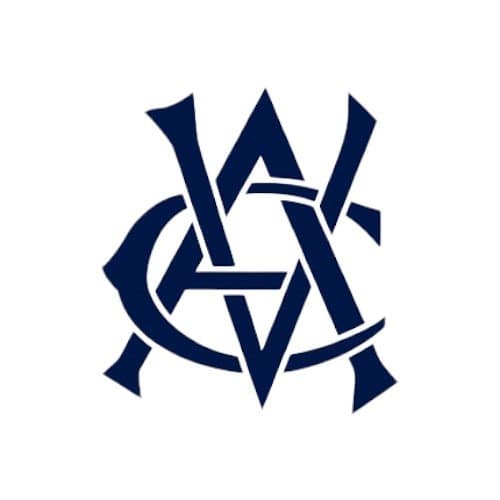 vic icon