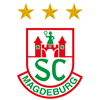 scm icon