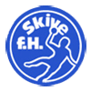 ski icon