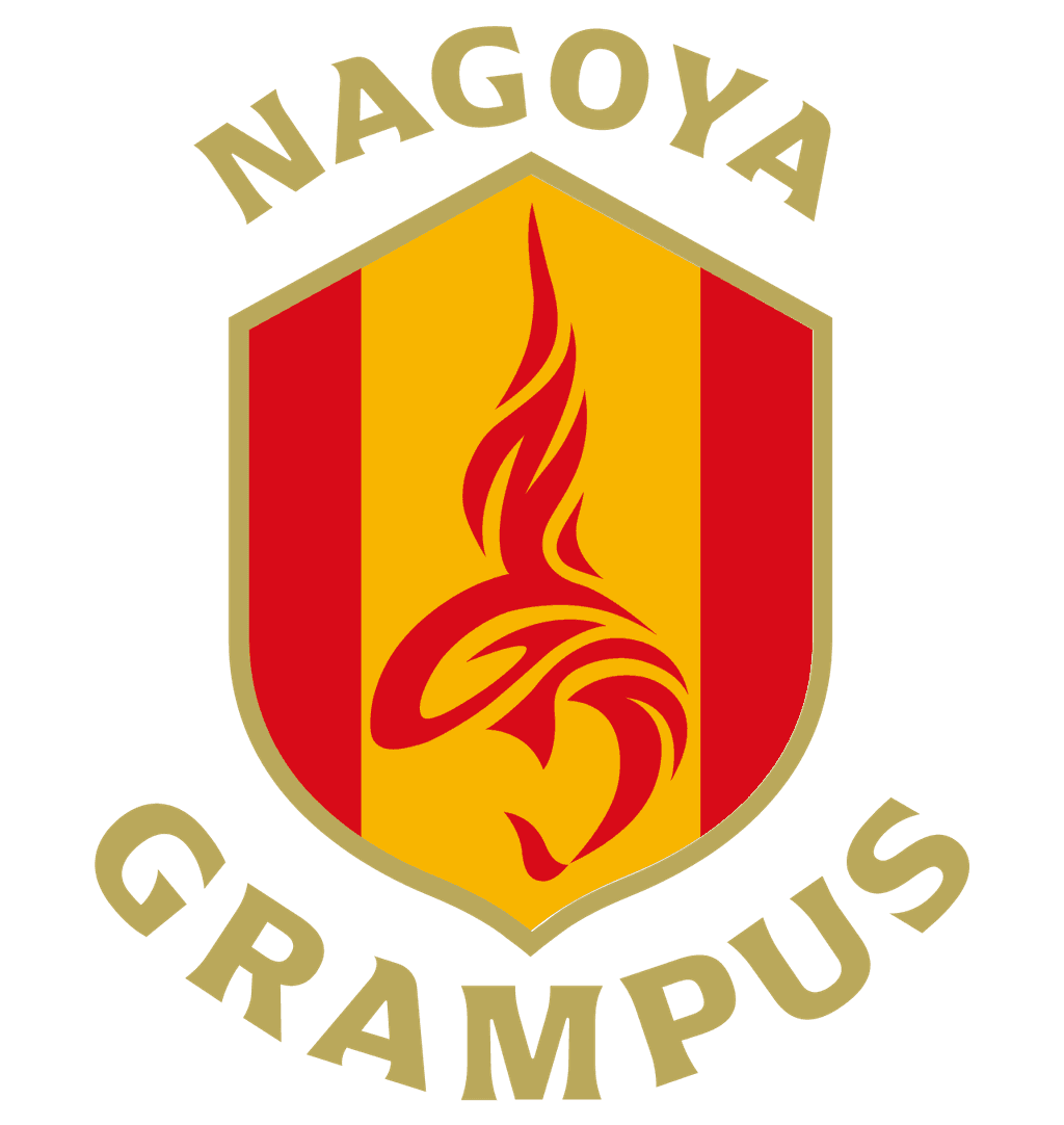 ngr icon
