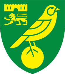 nor icon