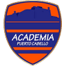apc icon