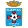 blo icon