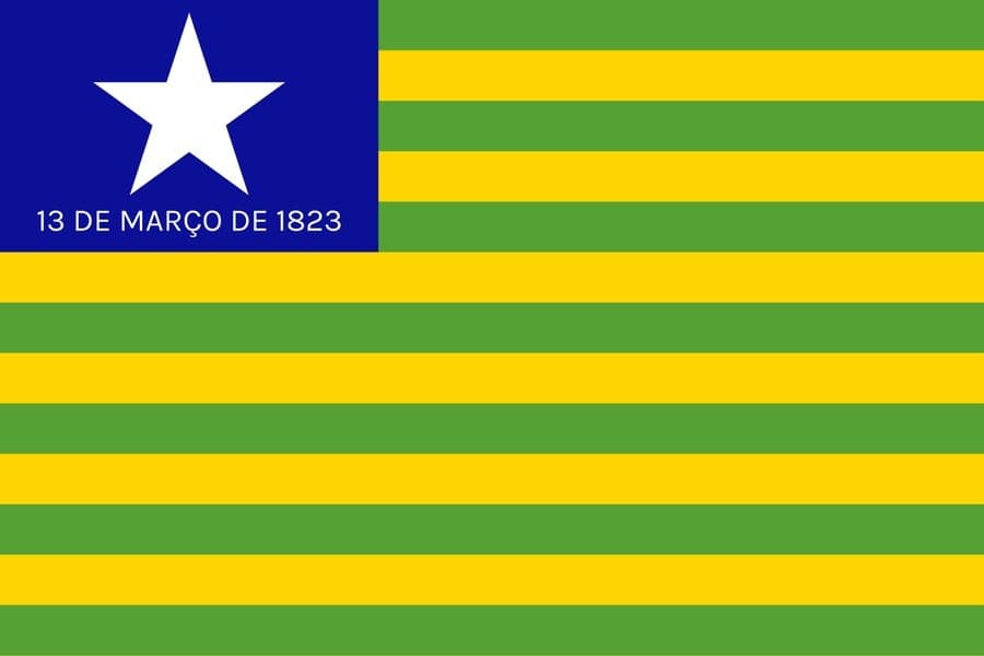 Piauí Governor Election Winner - image