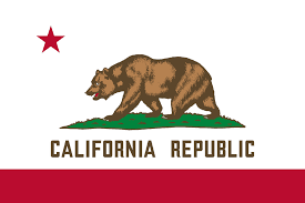 icon for California voter ID referendum passes?
