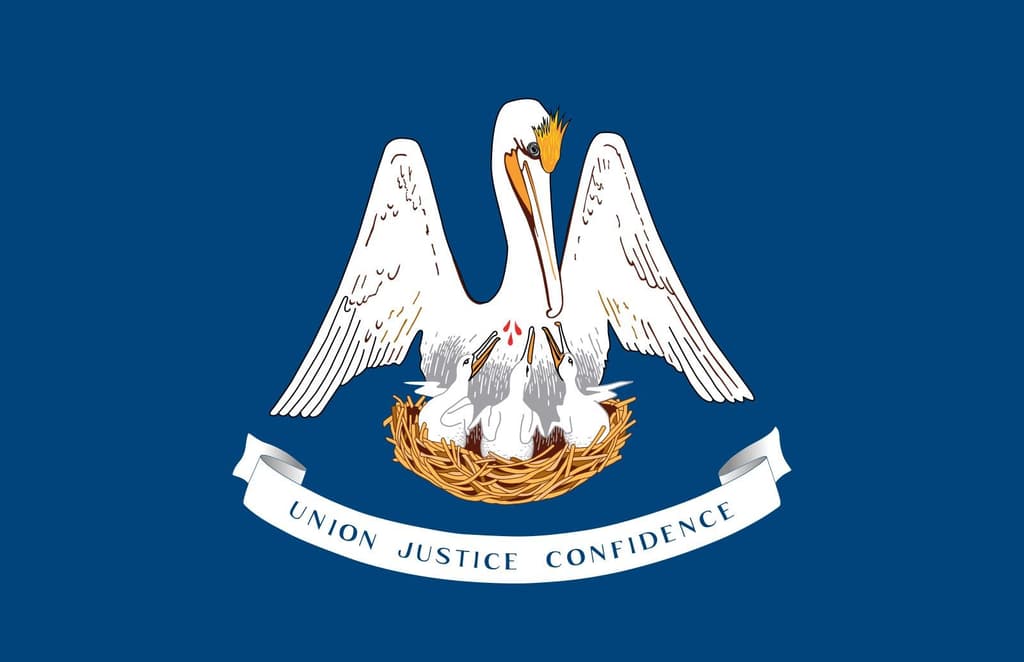 LA-05 Republican Primary Winner card icon