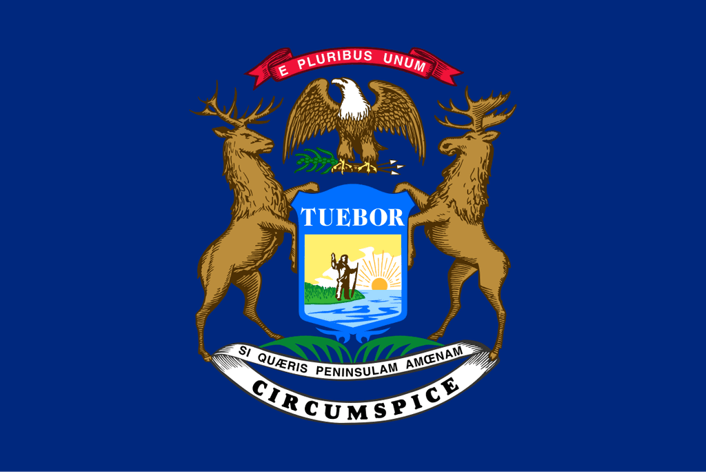 icon for Michigan Democratic Senate Primary Margin of Victory