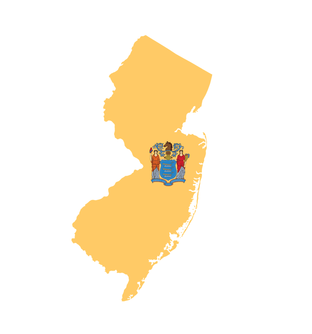 icon for New Jersey Senate Election: Turnout
