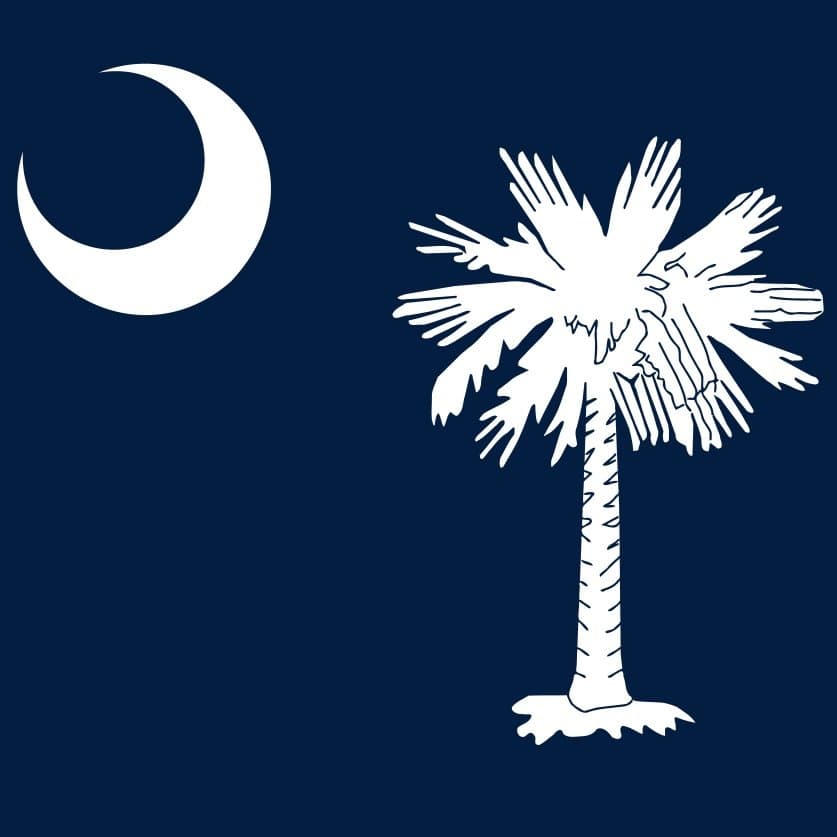 icon for South Carolina Republican Senate Special Primary Winner
