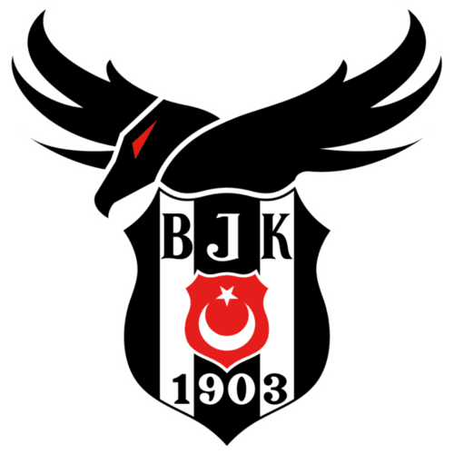 Beşiktaş Esports