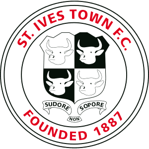 ivs icon