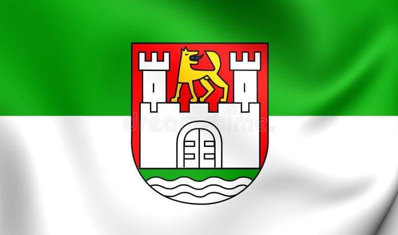 Wolfsburg Mayoral Election Winner - image